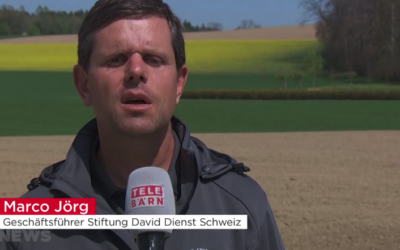 Bericht bei TeleBärn